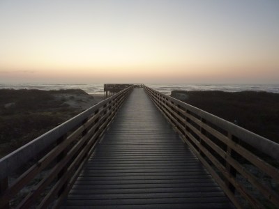 Early morning walk on the walkway