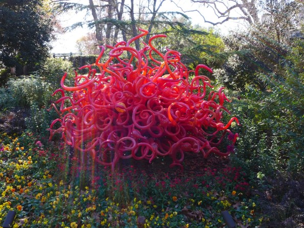 chihuly 16