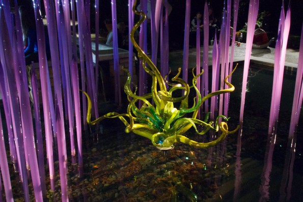 chihuly 3