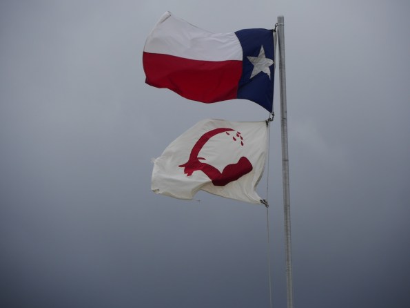 The flag Fannin's men adopted: "I'd sooner give my right arm"