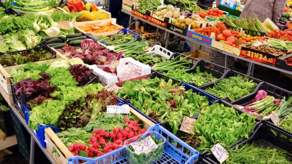 Lots of fresh vegetables