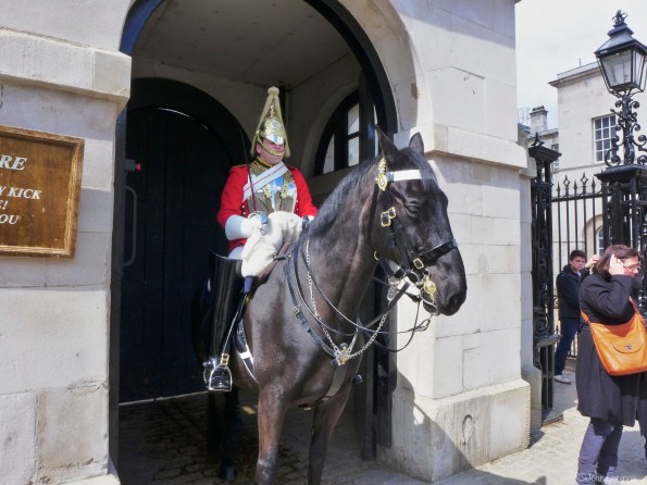 Horse Regiment guard