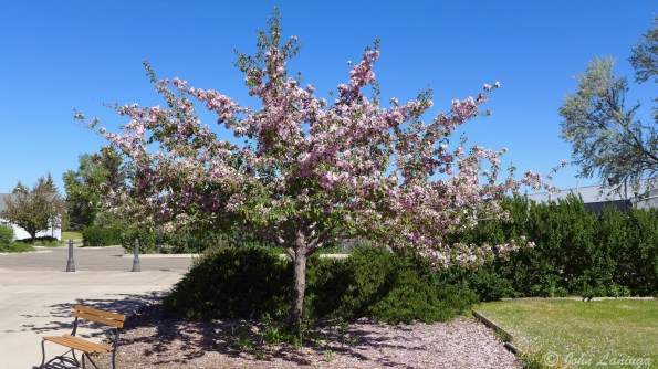 It may be summer somewhere, but up here spring has spring