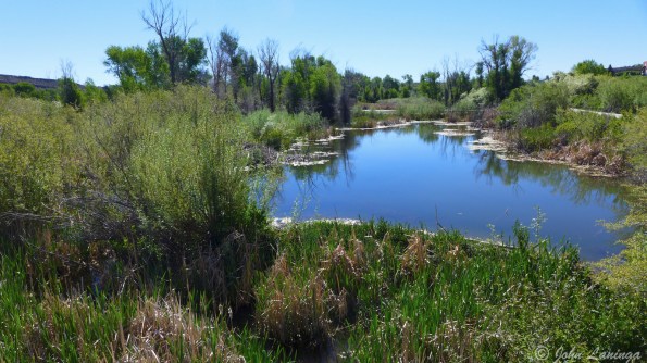 The Bear River wetlands are well maintained and scenic