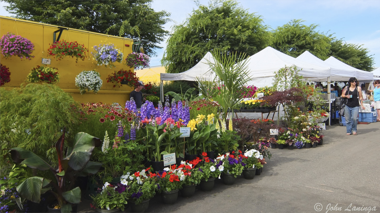 Lots of fresh flowers
