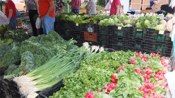 Lots and lots of fresh veggies