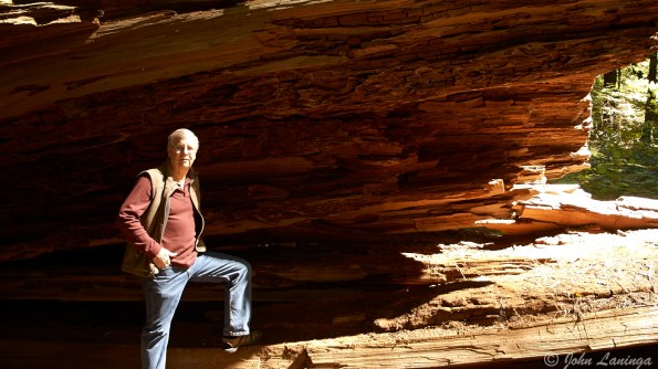 Inside the fallen giant