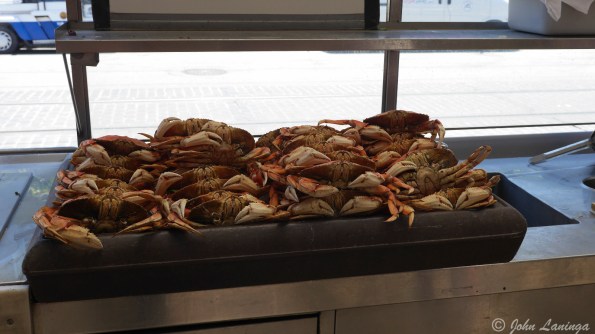 Yum!  Dungeness crab!