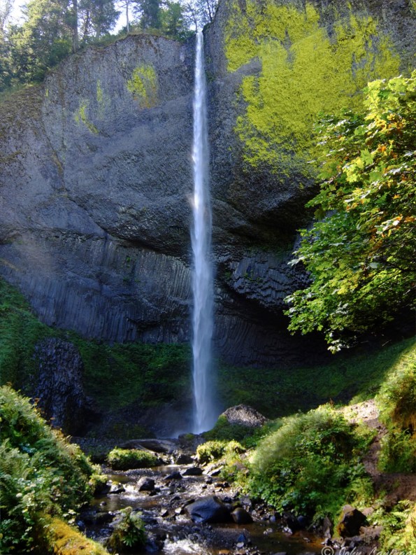 A view of Lower Latourell Falls,  246 ft high.
