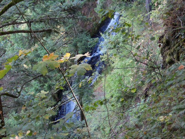 Of course, there was a waterfall- in this case, Coopey Creek