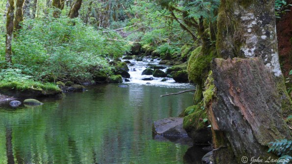 Falls Creek, at the start of the trail