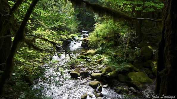 Part way up you can see the rocky vreek bed