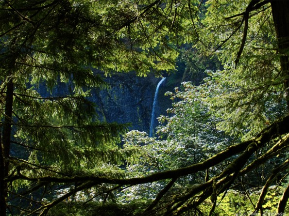 We can see the top of Lower Falls on our way up