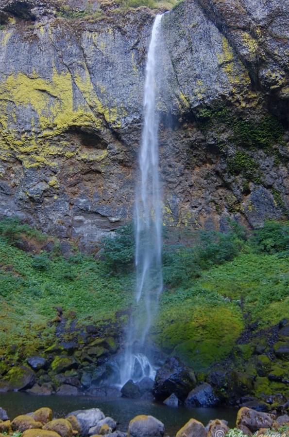 And here is the Lower Falls