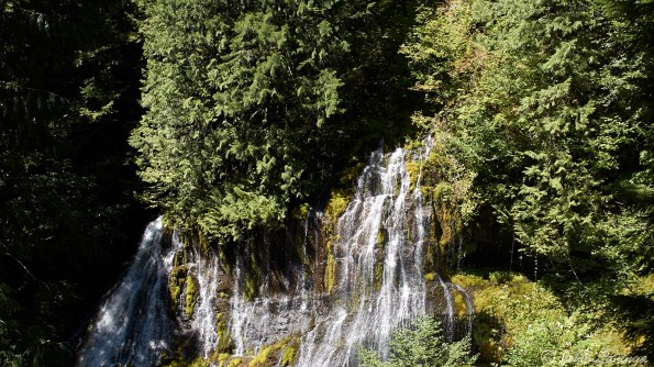 Top of the falls, creek number one...
