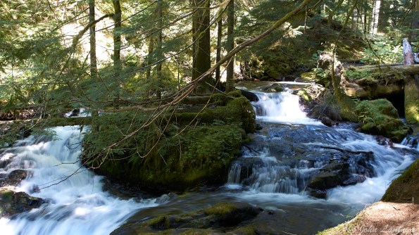 A much more genteel creek, number two...