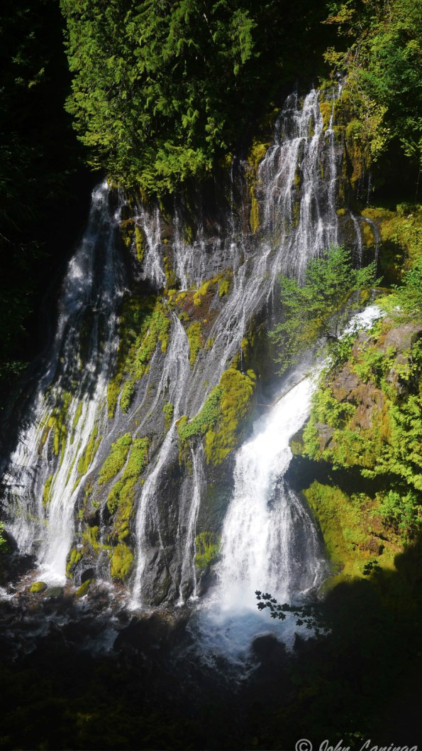 Panther Creek Falls.  Amazing!
