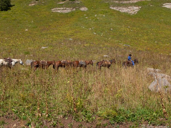 We weren't alone, a cowboy took a train of horses up ahead of us (not fun)