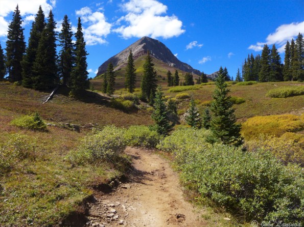 Approaching the tree line of Engineer Mountain.