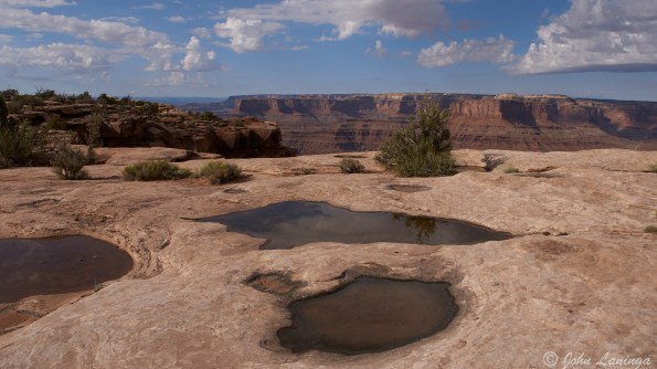Recent rain left puddles