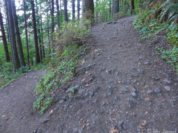 The switch back gives some idea of the steepness of this trail.