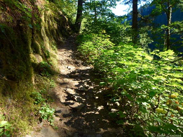 The trail gets narrower and bumpier as we get higher