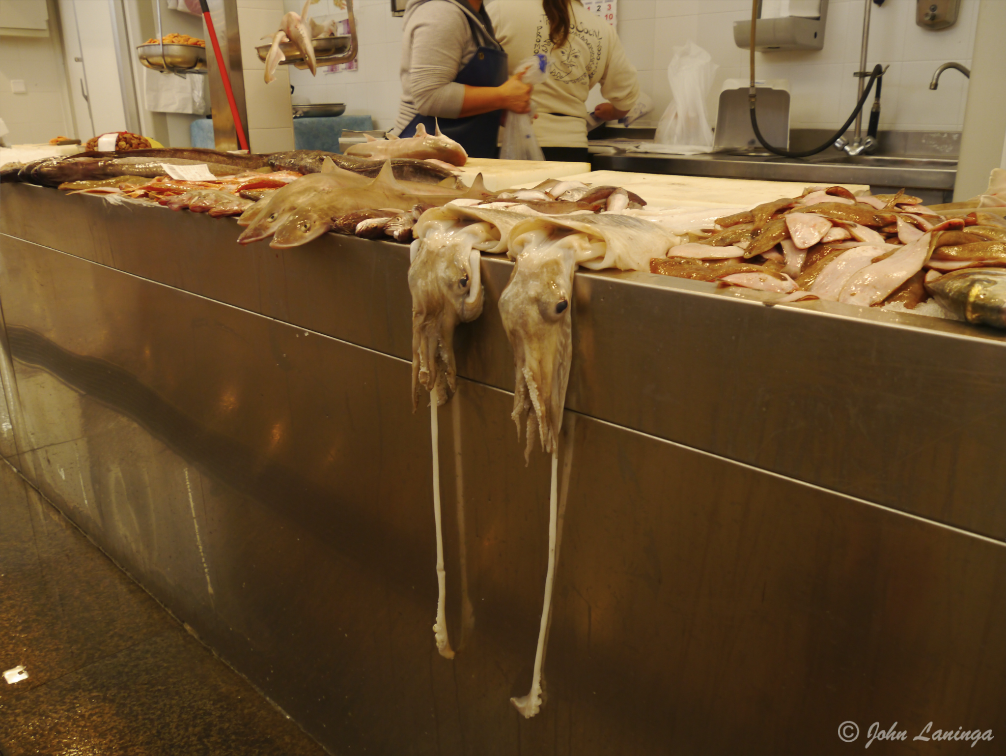 Some "appetizing" sea food!