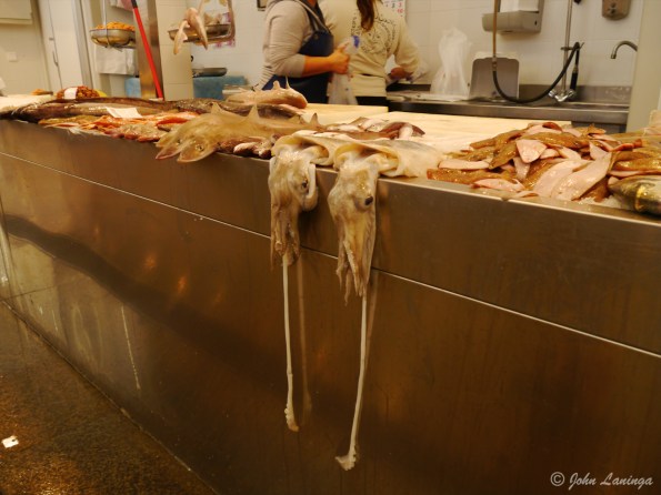 Some "appetizing" sea food!