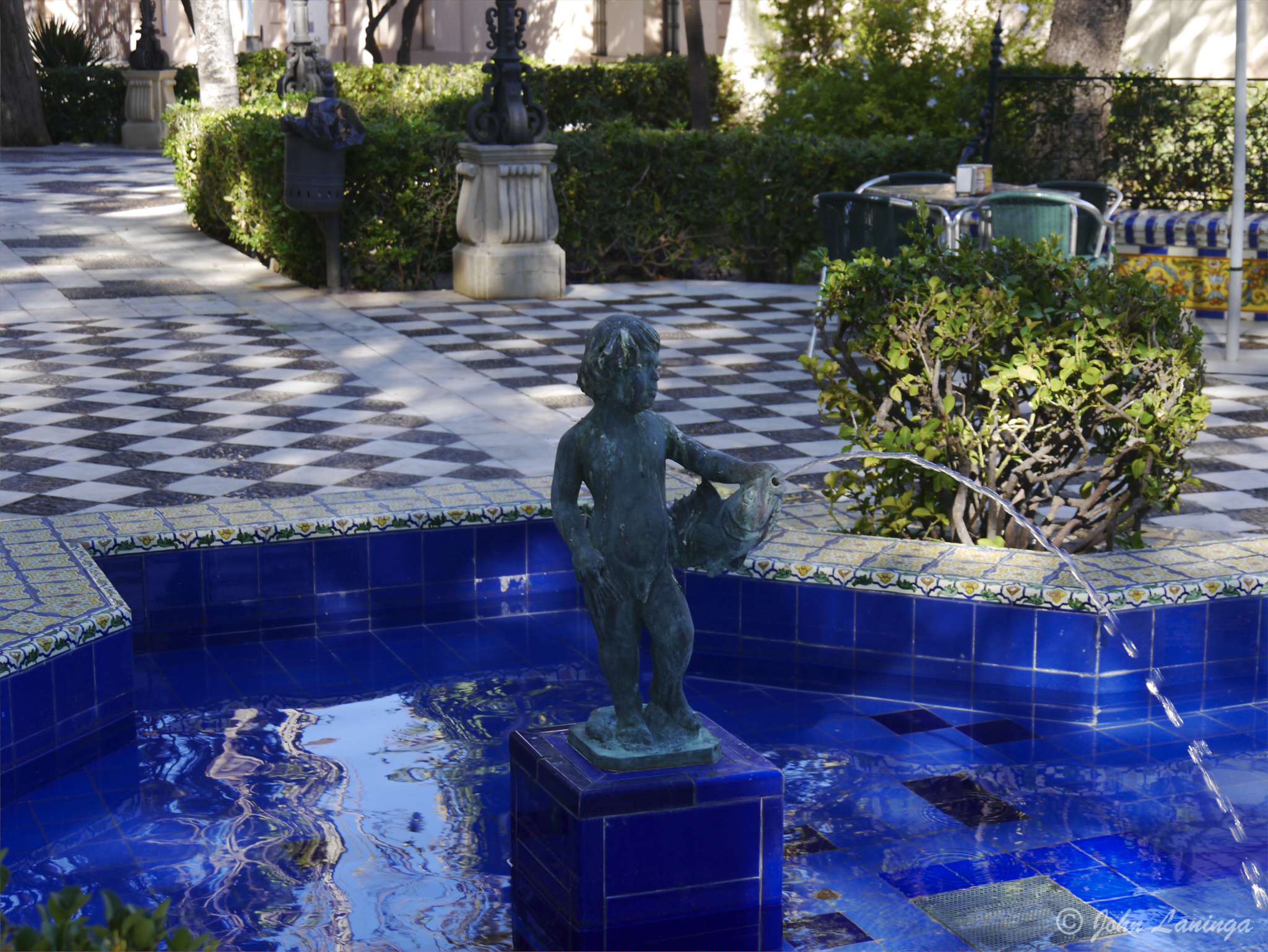 In one of the many patks