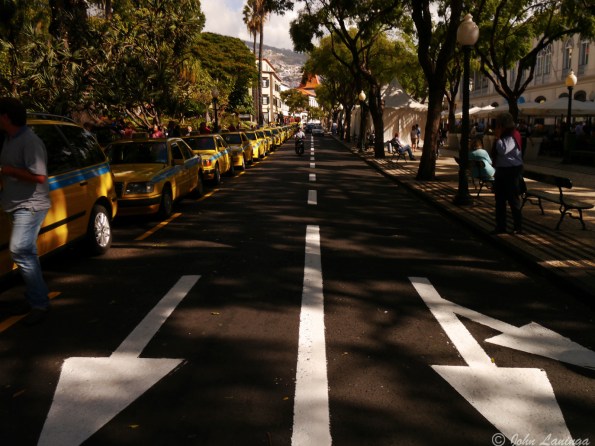 Downtown Funchal -- lots of taxis