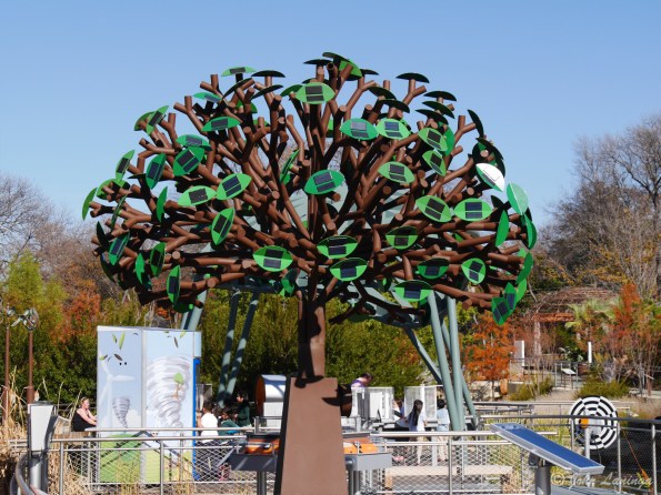 Children's play area