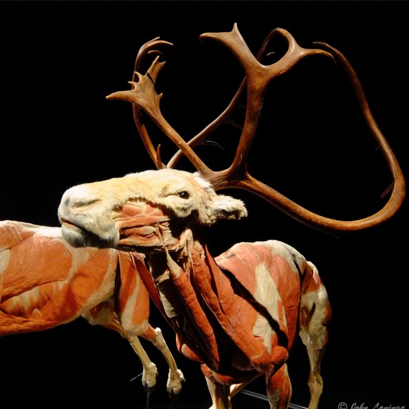 Looks pretty nasty to me