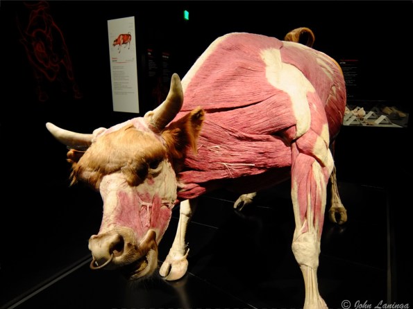 OK OK, don't get mad about it