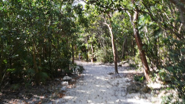 Nature Trail on Coco Cay