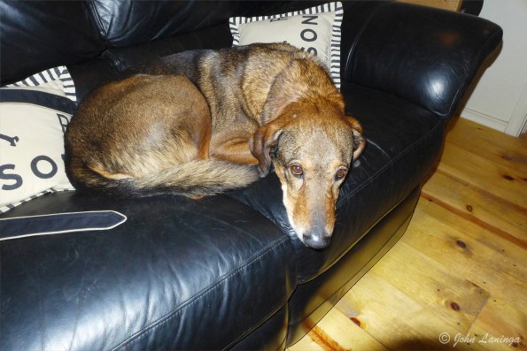 Link doing what he does best