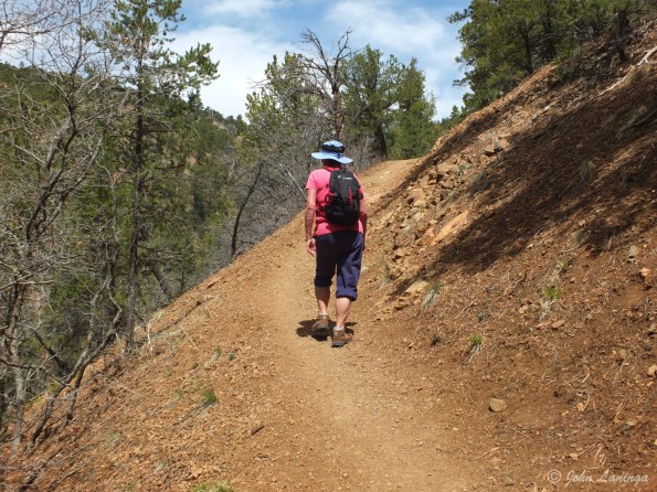 Romola working her way uphill