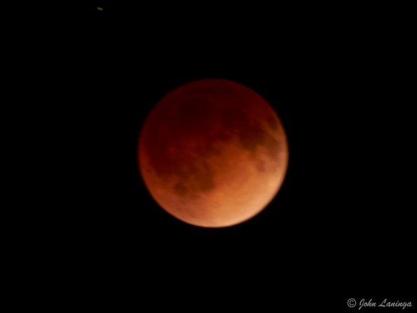 A bit out of focus, but here it is - the blood moon