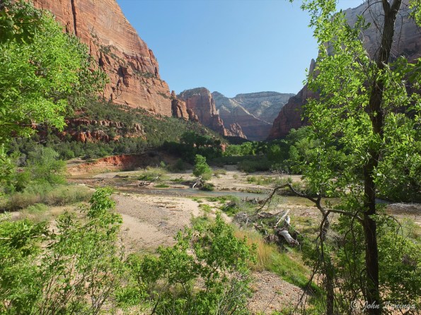 A view down the Virgin River
