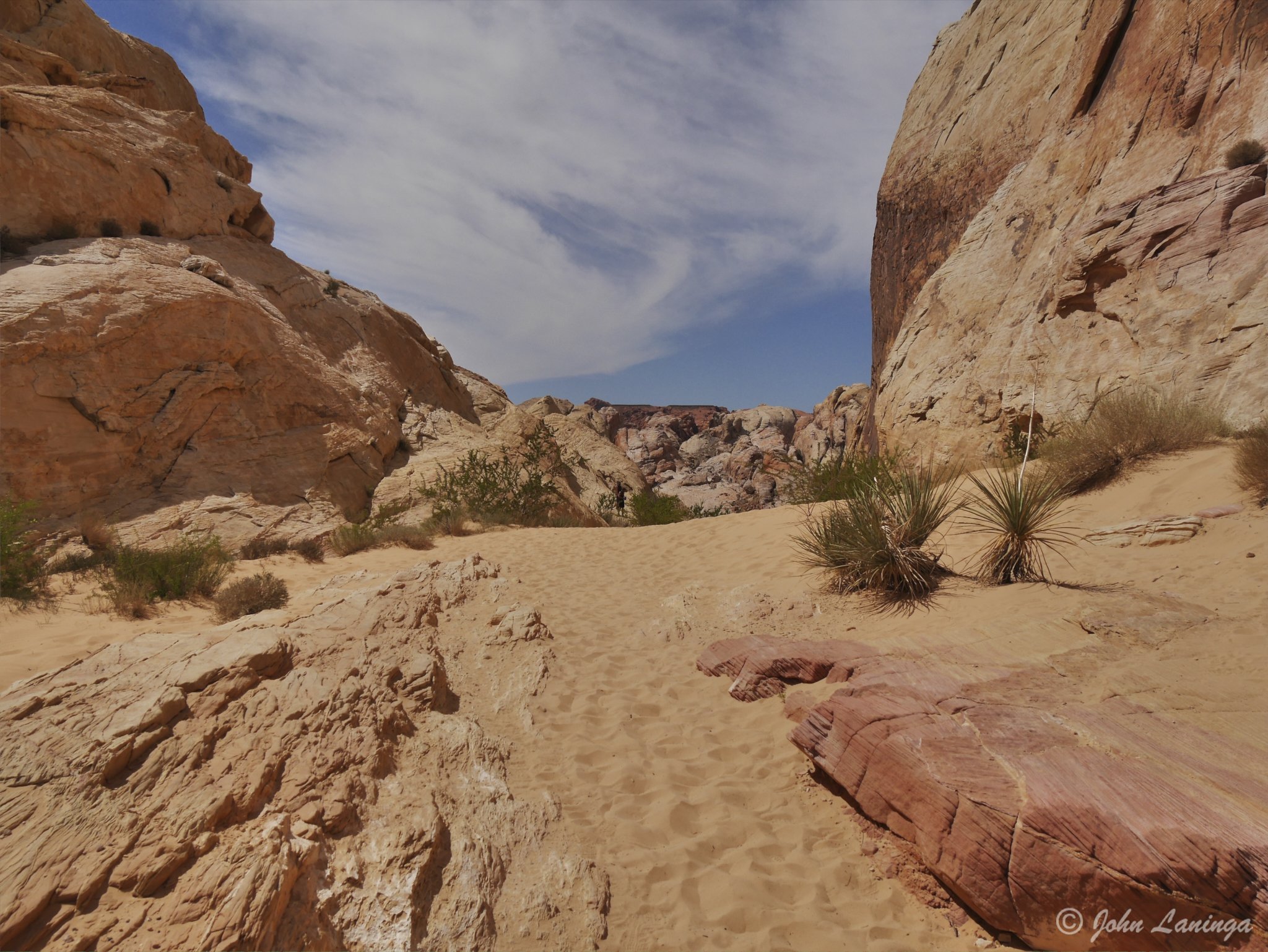 Very sandy in many places.