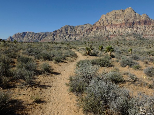 At first, trail is easy to follow