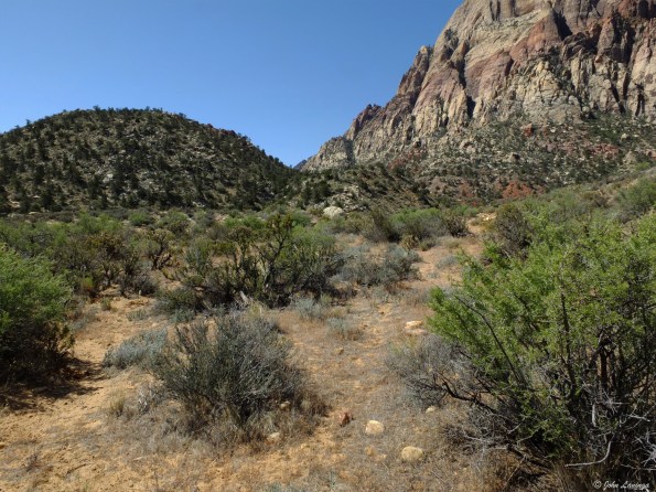 OK, we're behind the knoll, which way?