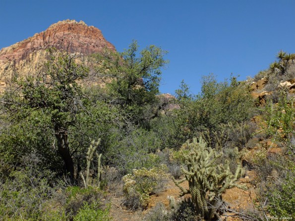 Beautiful desert surroundings, thougn