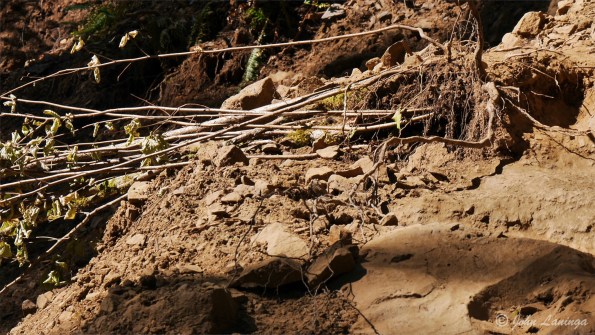 And this kept us from getting to Triple Falls