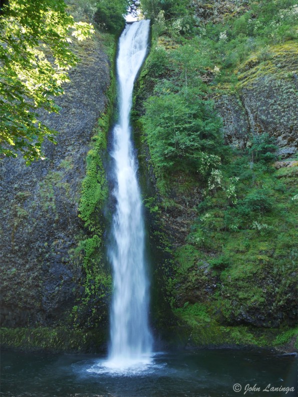 Lower Horsetail Falls