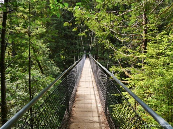 Suspension Bridge over Drift Creek Falls
