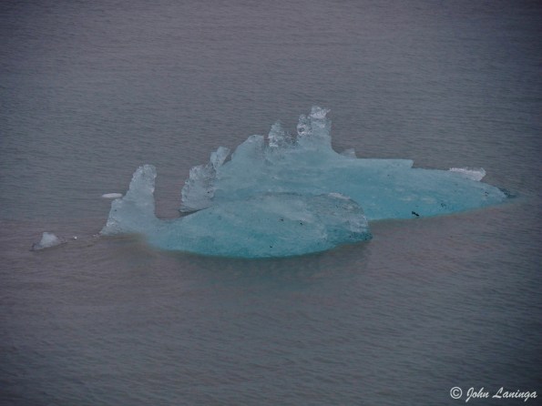 Some take on wild shapes