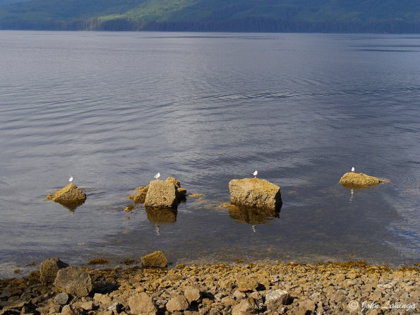 One, two, three, four.....