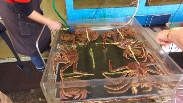 Yep, lots of local seafood