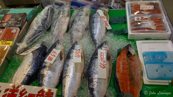 Fish, fish, lots of fish