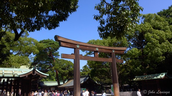 The torii gate, made from 1,500 year old cypress